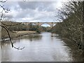 NZ3154 : Victoria Viaduct crossing the River Wear by David Robinson