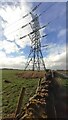 Pylon in field on SW side of track SE of Denton House