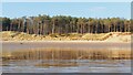SH3963 : Sand dunes at Llanddwyn beach by I Love Colour