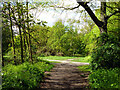 Paths, Wandworth Common