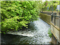 River Wandle, Wandsworth