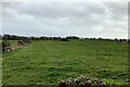 Field at Llanbedrgoch