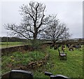 ST4690 : Leafless churchyard trees,  Caerwent, Monmouthshire by Jaggery