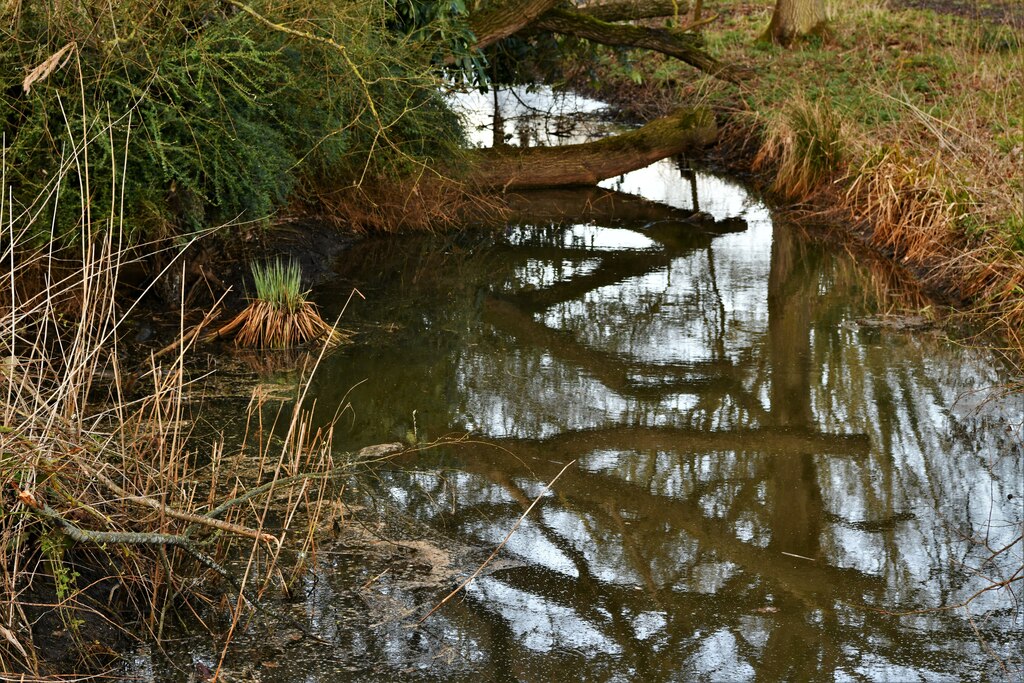 Beccles, River Waveney Circular Walk 15... © Michael Garlick ccbysa