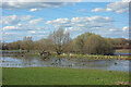 Wetland north of Drayton Road