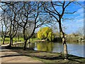 The lake in Sandall Park