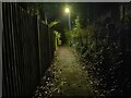 Alleyway at night