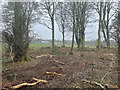 Mains of Haddo from the access road