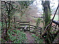 Llwybr Gelliwen / Gelliwen path