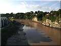 ST5394 : River Wye looking North  by Sofia 