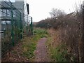 Footpath off Filers Way