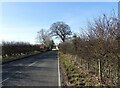 Road leading into Medomsley village