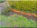 Stream on Wellington Road after heavy rain