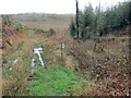 SN2624 : Llwybr yn gadael trac coedwigaeth / Path exits forestry track by Alan Richards