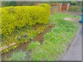 Stream on Wellington Road after heavy rain