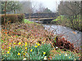 Annan Bridge, Moffat