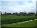 Field off Filers Way from Yarbury Way