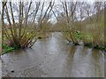 High water on Blackwater River