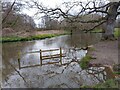 High water on Blackwater River