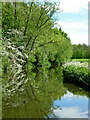 Staffordshire and Worcestershire Canal approaching Kidderminster