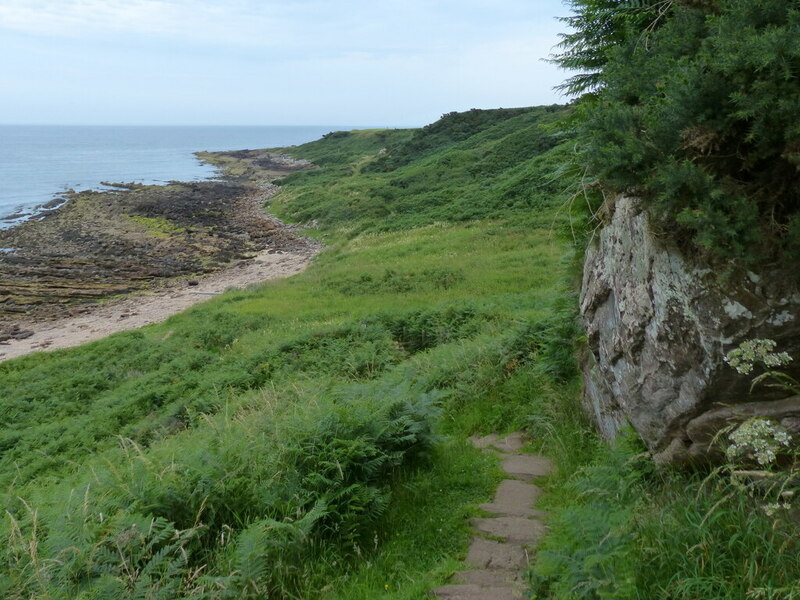 Fife Coastal Path near Kinkell Ness © Mat Fascione ccbysa/2.0