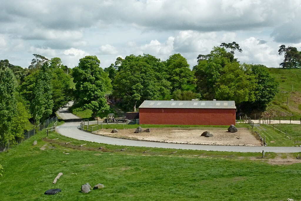 west midlands safari park risk assessment