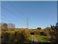 Electricity pylons over Wildmoor Heath