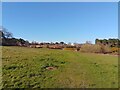 Path across field to South Meadow