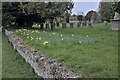 SK9633 : Churchyard daffodils by Bob Harvey