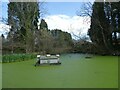 Duck pond, Olveston