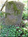 SO5916 : Forest of Dean Boundary Stone, Lower Lydbrook by Mr Red