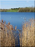 SE3318 : Lake in Pugneys Country Park by Graham Hogg