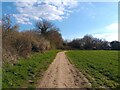 Path beside farmed field