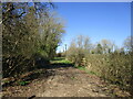 Footpath to Swithland Wood