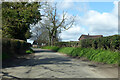 Lane towards Scales Farm