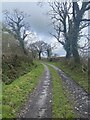 Track to Berthlwyd Farm