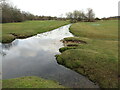 SU2203 : Burley - Mill Lawn Brook by Colin Smith