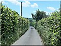 A narrow section of Hurst Lane, Sedlescombe