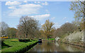 Springtime by the canal near Pendeford, Wolverhampton