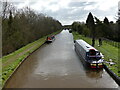 Looking east down the Llangollen Canal from Bettisfield Bridge