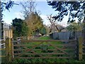 Track to Warren Copse