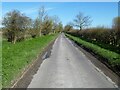 A walk from Chirton to the Plain and return [59]