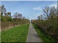 Path approaching Hollinwood Avenue