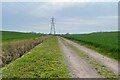 Footpath to Throcking