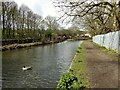 Leeds and Liverpool Canal