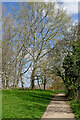 Pathway in Pendeford Park, Wolverhampton