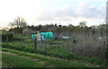 Allotments, Pampisford