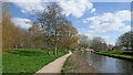 Shropshire Union Canal by Pendeford Park  in Wolverhampton