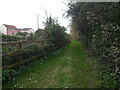 Track leading to Bridge Farm Pool