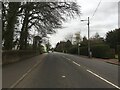 NS6959 : Bothwell Road, Uddingston by Steven Brown
